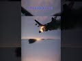 countrys and there worst plane crashes #sad #rip #planecrash #plane