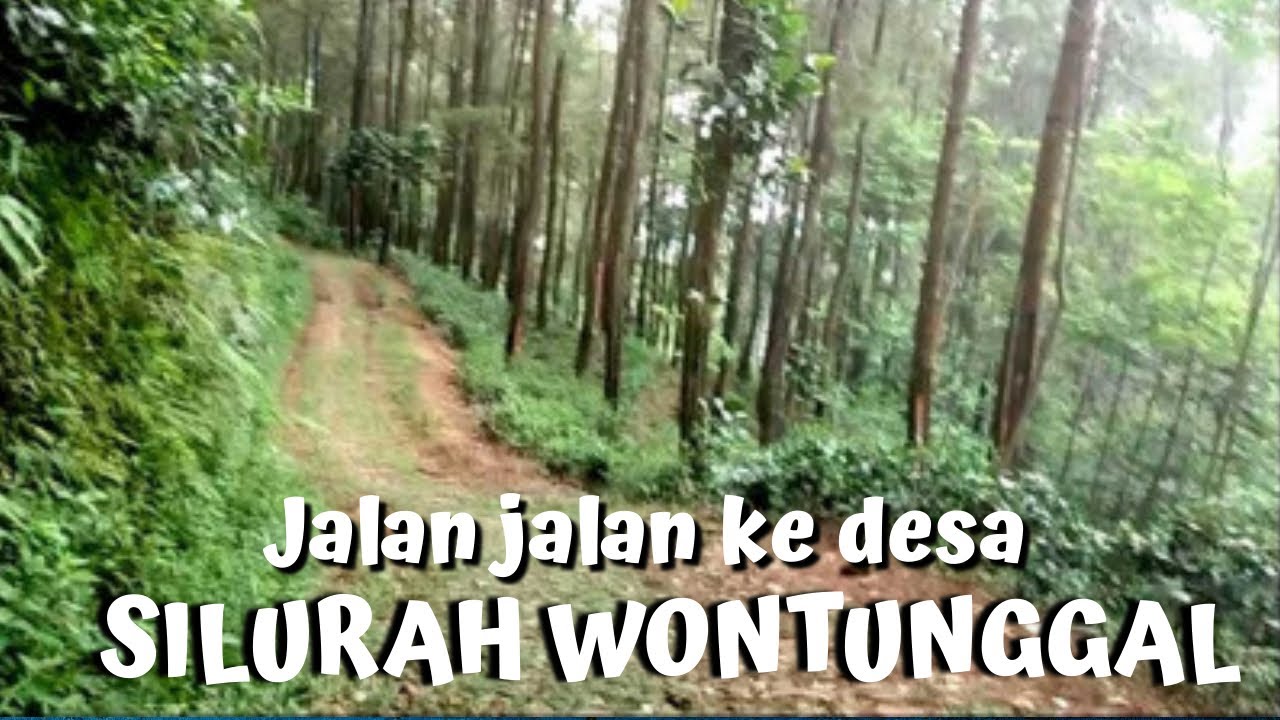 JALAN JALAN KE SILURAH WONOTUNGGAL BATANG