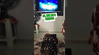 Собакен Любит Танцевать Под Ржач