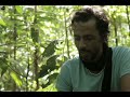 Amazon Jungle Secrets  Part 2 Hindi Documentary  #wildlife #nature   #discoverychannel #jungle