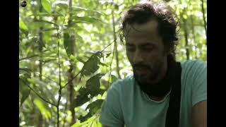 Amazon Jungle Secrets  Part 2 Hindi Documentary  #wildlife #nature   #discoverychannel #jungle