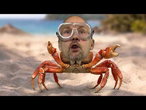 4 hours of Ungadabunga