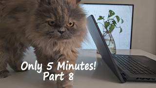 How I Got My Focus Back | Focus Challenge | Part 8/20