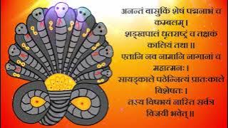 श्री नवनाग स्तोत्र | Anantam Vasukim Shesham with lyrics & meaning | Navnag Stotra | नागपंचमी विशेष