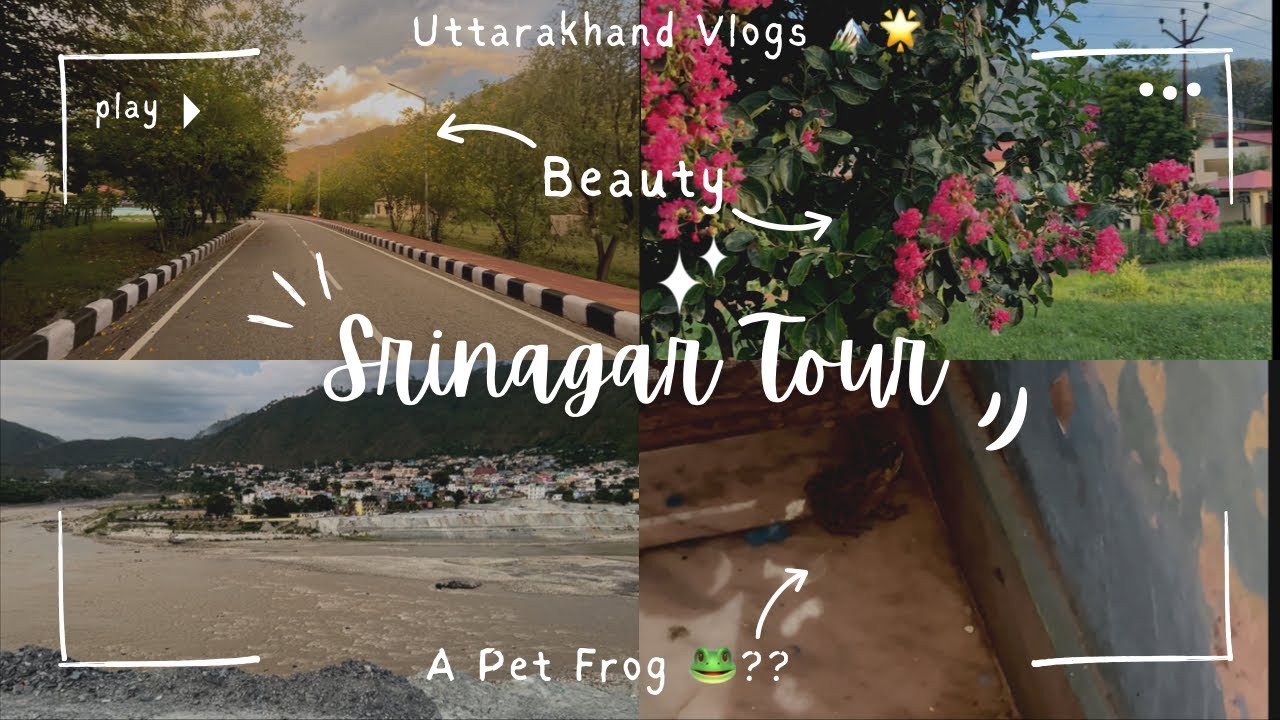 Khubsoorti Srinagar ki 🤌🏻🏔️aur maami ka mendak pet 😆🐸 