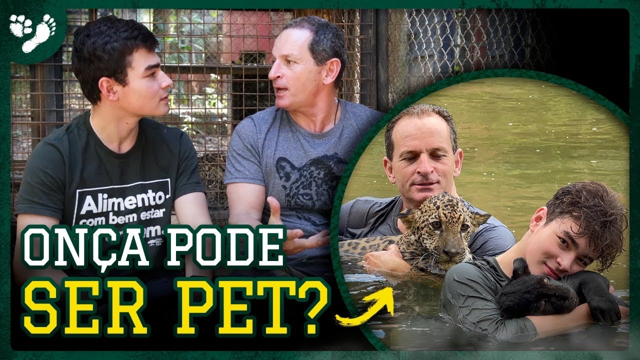 Tem como comprar uma onça?