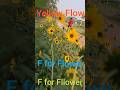 F for flower ! Y for Yellow #shorts #viral #alphabet #learning #ABCteaching #preschool