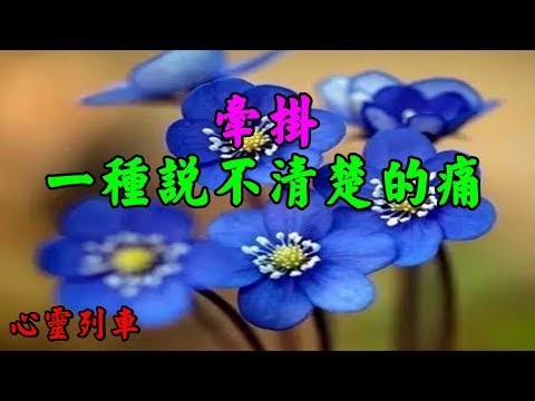 【心靈列車 】 牽掛，一種說不清楚的痛：人世間什麼都能說清楚，只有人與人之間的感情說不清楚。