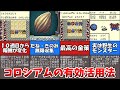 【テリワン】コロシアムの有効活用法を解説【ドラゴンクエストモンスターズ】