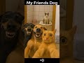 My Friends Dog vs My Dog🐶🤣04