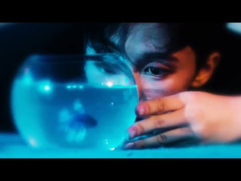 [내맘대로 MIX] 물속에서 노래하는 드림이들 🥽 엔시티 드림 (NCT DREAM) / 고래 (DIVE INTO YOU) 교차편집