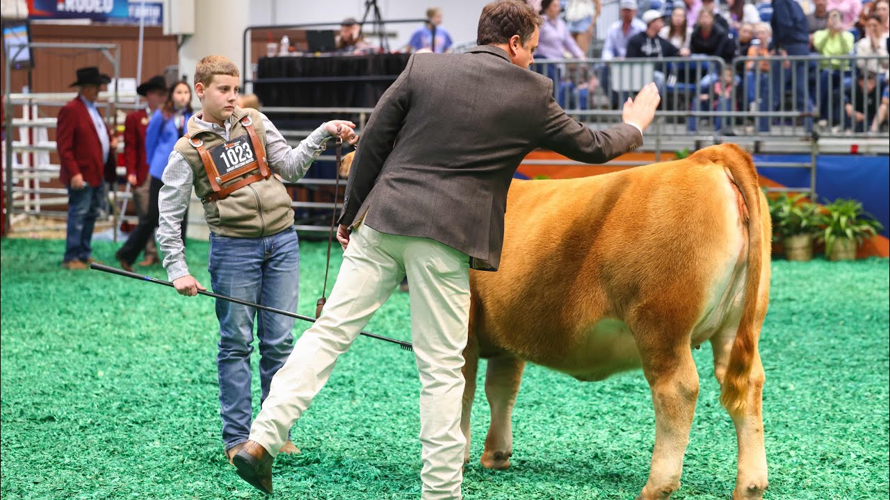 From a cattle show to an Airplane Cockpit!✈️