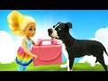 Chelsea mata a aula e enfrenta um cachorro! Vídeo com Barbie boneca para meninas em português