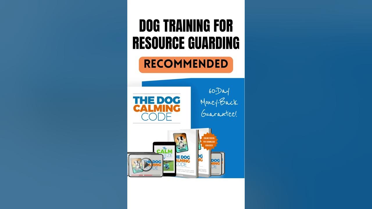 Dog Training for Resource Guarding shorts Dog Resource Guarding