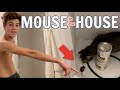 Waking Up To a MOUSE In The HOUSE Just Before Our 8-HOUR Road Trip to VERMONT **Can't LEAVE**