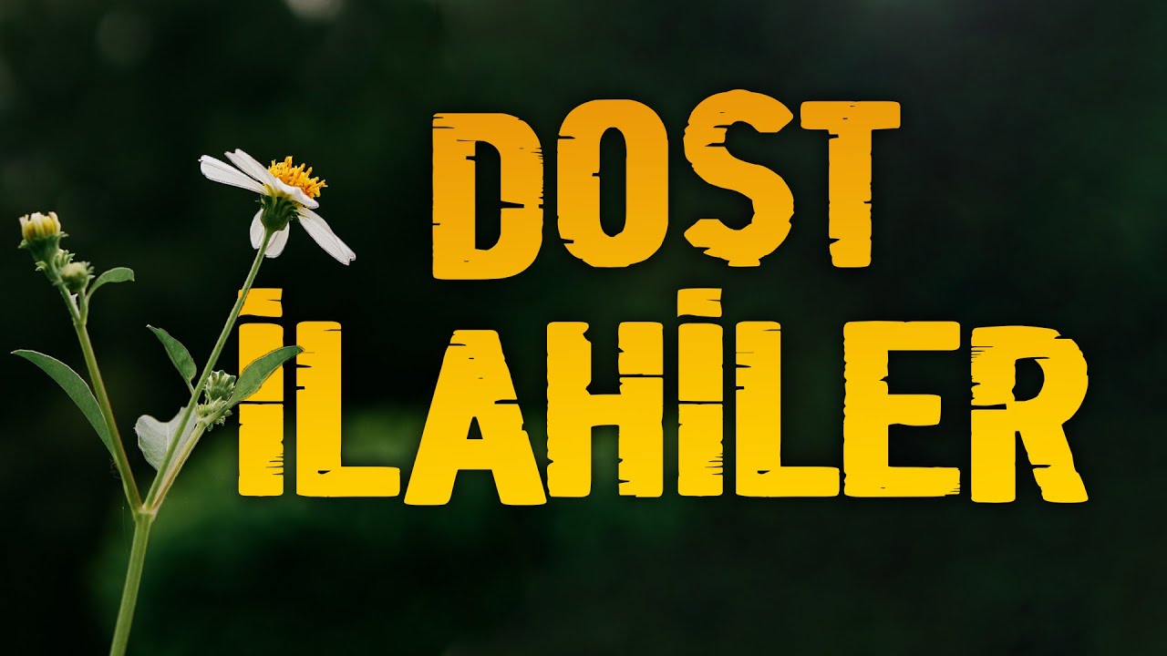 Dost İlahiler