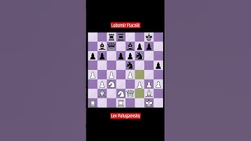 Lev Polugaevsky vs Lubomir Ftacnik 1982  #chess