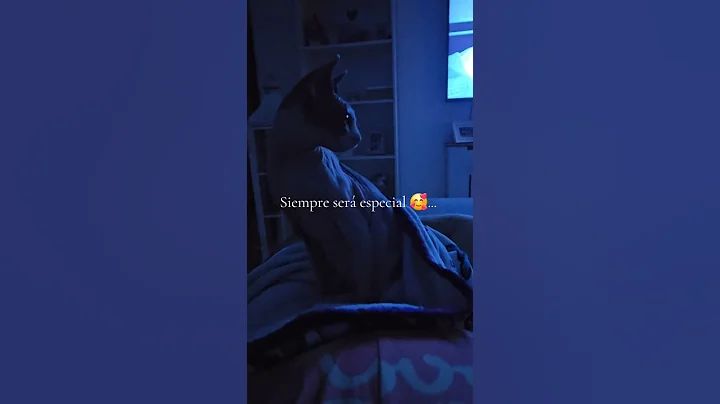 Video 10683211: sphynx cats catlovers