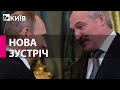 Путін зустрівся з Лукашенком: обговорюють Україну