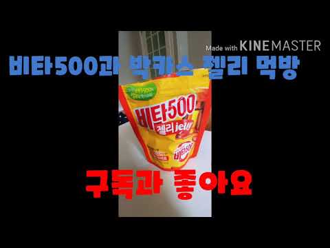 박카스와 비타500 젤리 먹방!!!!