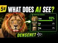 5# DenseNet | Image Classification | Real-Time Industrial AI Vision using ImageNet
