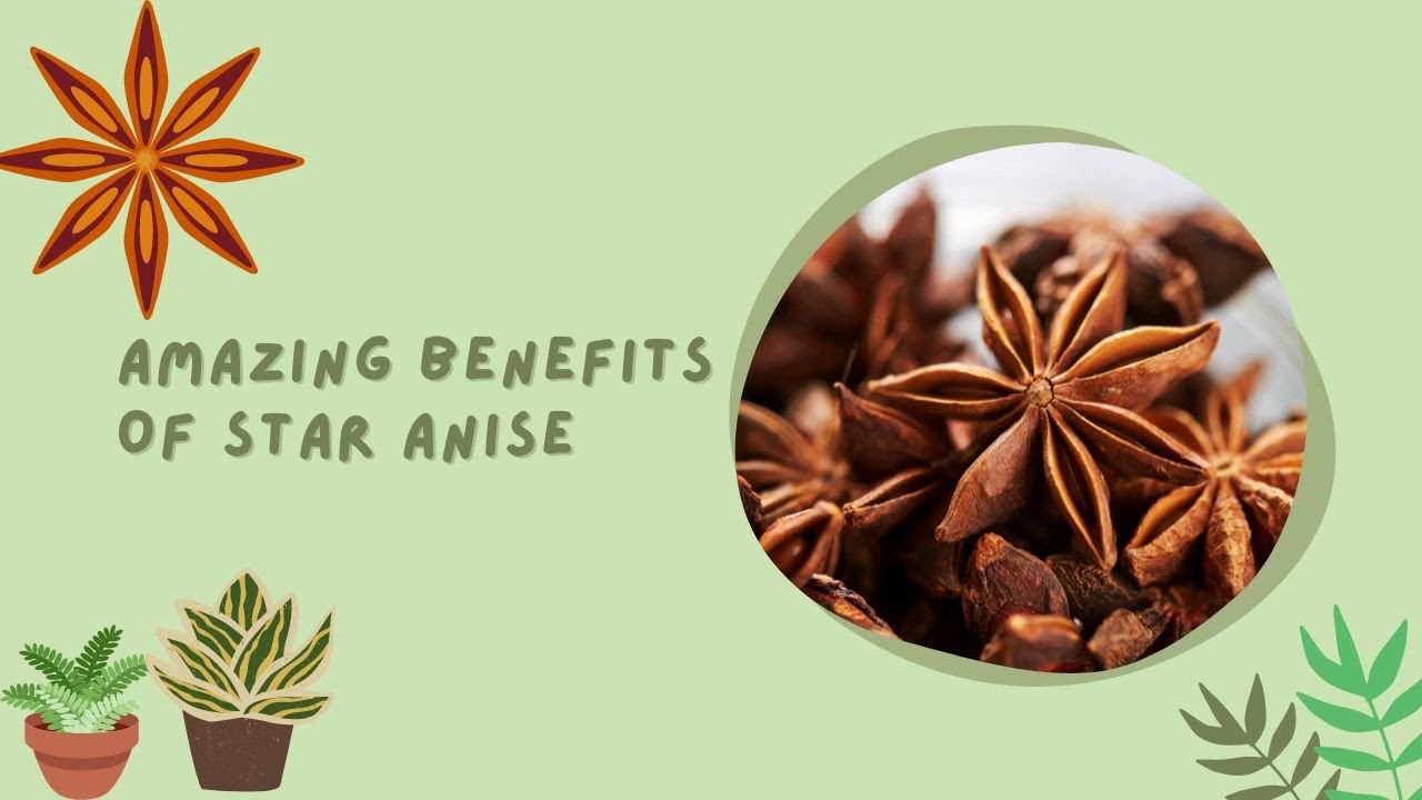 Amazing Benefits of Star Anise full video, Health benefits, cooking