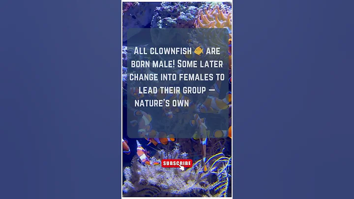 Fish That Can Change Gender🐠#shorts #youtubeshorts #facts