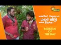        mokkai of the day  adithya tv throwback