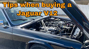 Jak velký je motor 5.3 V12 Jaguar?
