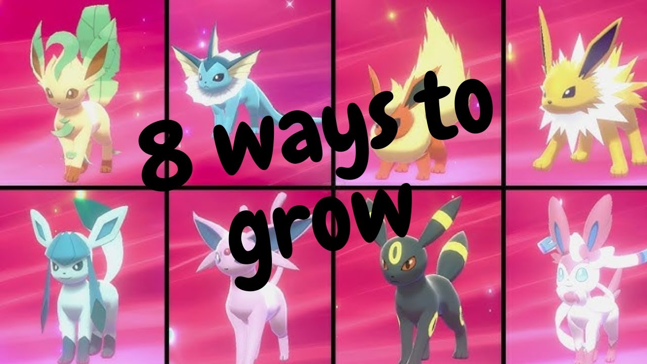 8 Ways to Grow | A Fan-Made Eeveelution Song
