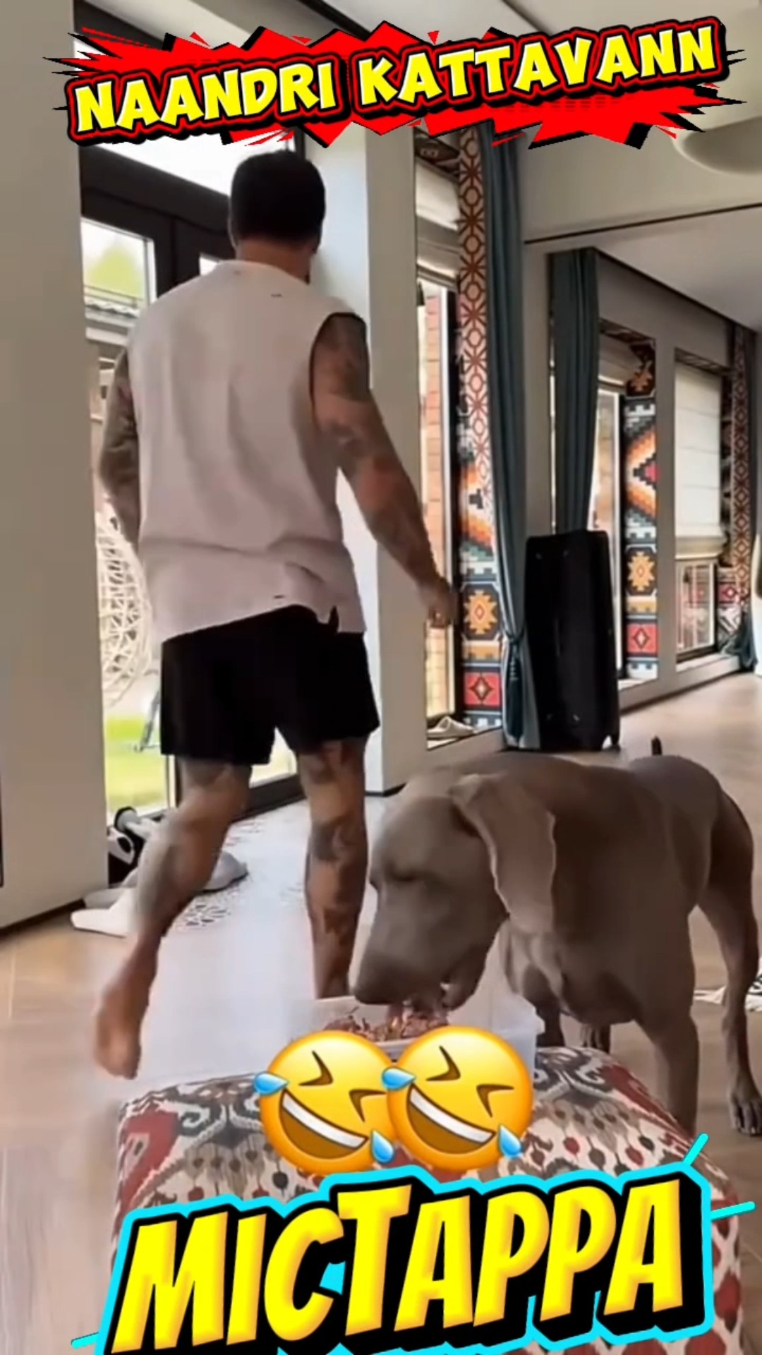 comedy galata - ShareChat