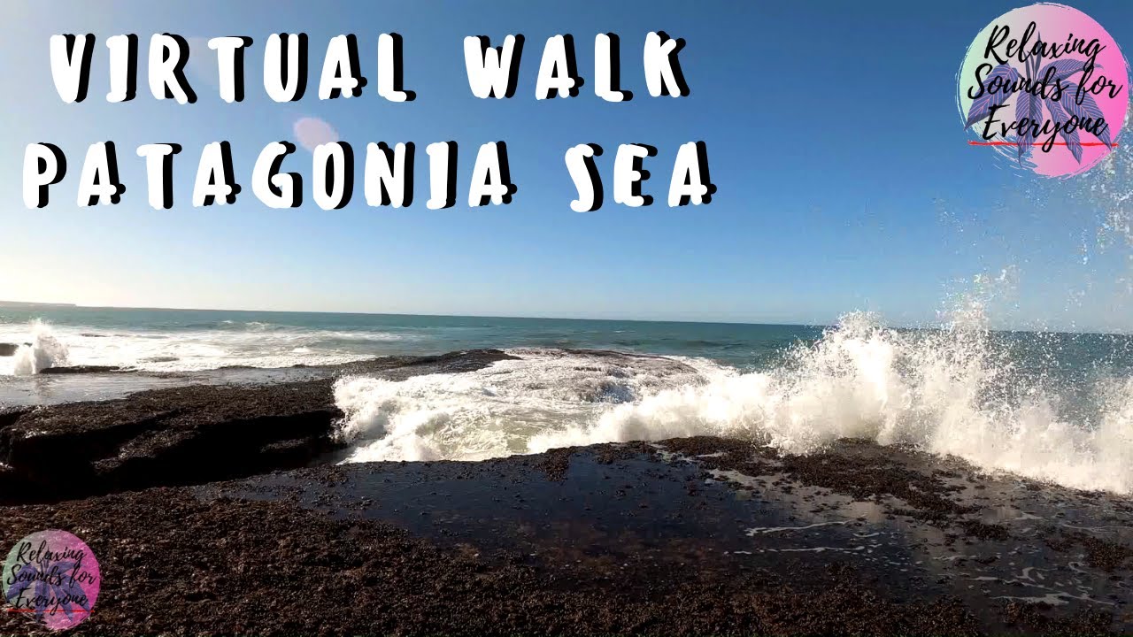Virtual Walk - Relaxing waves on a rocky shore (Patagonia ambient soundscape)