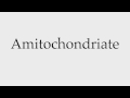 How to Pronounce Amitochondriate