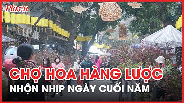 Hà Nội: Chợ hoa Hàng Lược nhộn nhịp ngày cuối năm - PLO