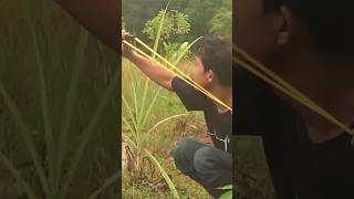 Download Mp3 Jitu..! Berburu Burung Dengan Ketapel Gudang lagu Download Mp3 Jitu..! Berburu Burung Dengan Ketapel