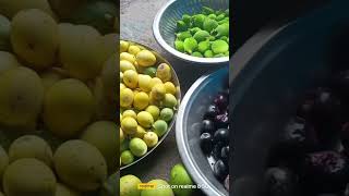 Kachaiya,Kaha,Kaha,Hoti,He