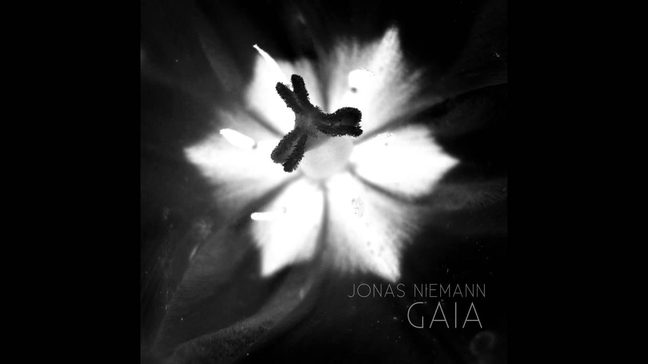 Jonas Niemann - Gaia adlı videoyu YouTube'da izle Jonas Niemann - Gaia adlı videoyu YouTube'da izle