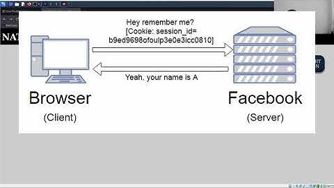 Look to the Cookie! 🍪 | Natas: OverTheWire (Level 5)