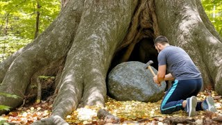 видео: Я нашел огромное сокровище, разбив камень под большим деревом!!! картинка: Я нашел огромное сокровище, разбив камень под большим деревом!!!