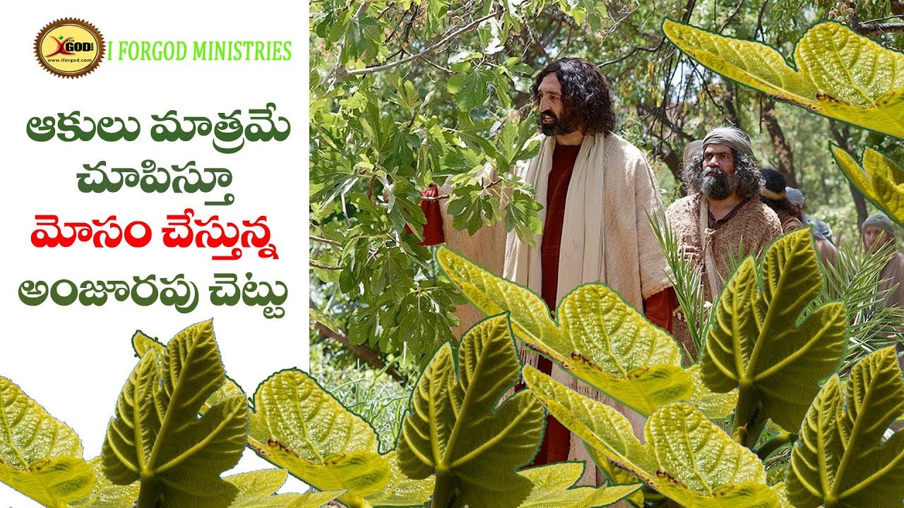 ఆకులు మాత్రమే చూపిస్తూ ఫలాలు లేకుండా మోసగించే అంజూరపు చెట్టు|| IFORGOD VIJAY PRASAD REDDY MESSAGE ||