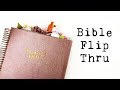 Bible Journaling Flip Thru - Illustrating Bible