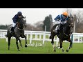 Horse Racing Tips and Advice for Beginners - YouTube