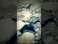🎯 Drop Everything. Watch Antarctica From Above.