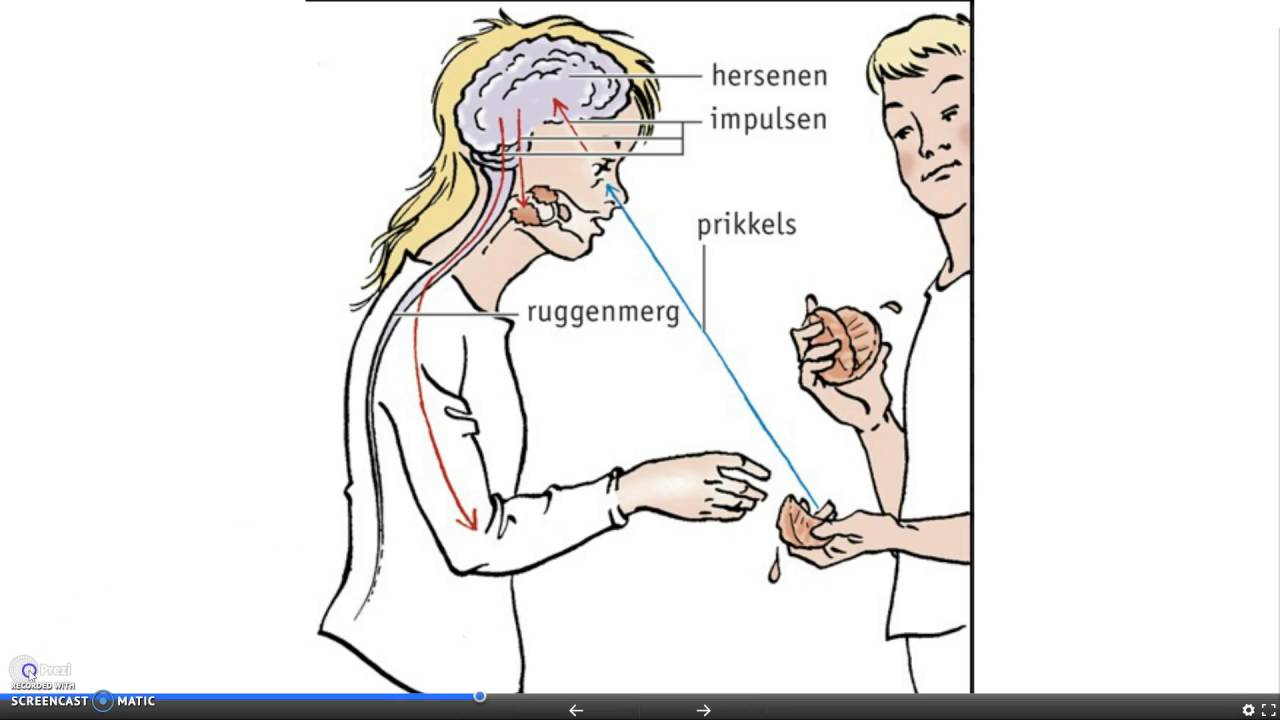 les 1 regeling mavo 3 bas 1 en 2 - YouTube