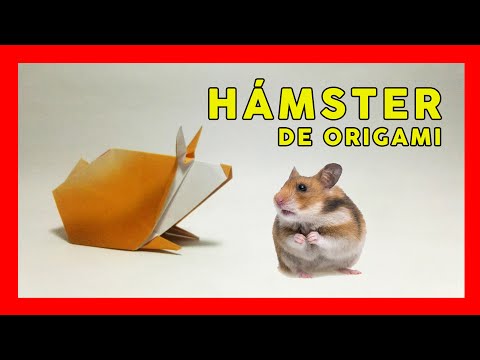 Video: Cómo Hacer Un Hámster De Papel