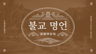 [석가모니]자기 전에 듣는 불교 명언 모음