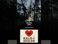 MÜZEMMİL - 18 #kuran #islam #shorts #viral #kaside #dua #keşfet