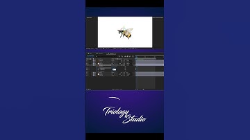 Bee Wing Animation | Animation Tutorial in After Effects | Triology Studio