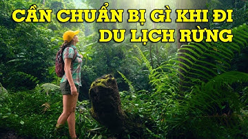 Những thứ cần chuẩn bị khi đi du lịch rừng - Mẹo Vặt Cuộc Sống