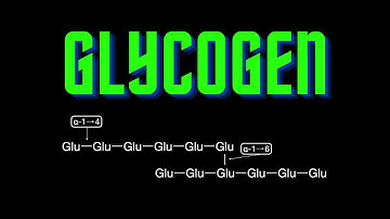 USMLE Step 1 - Lesson 67 - Glycogen